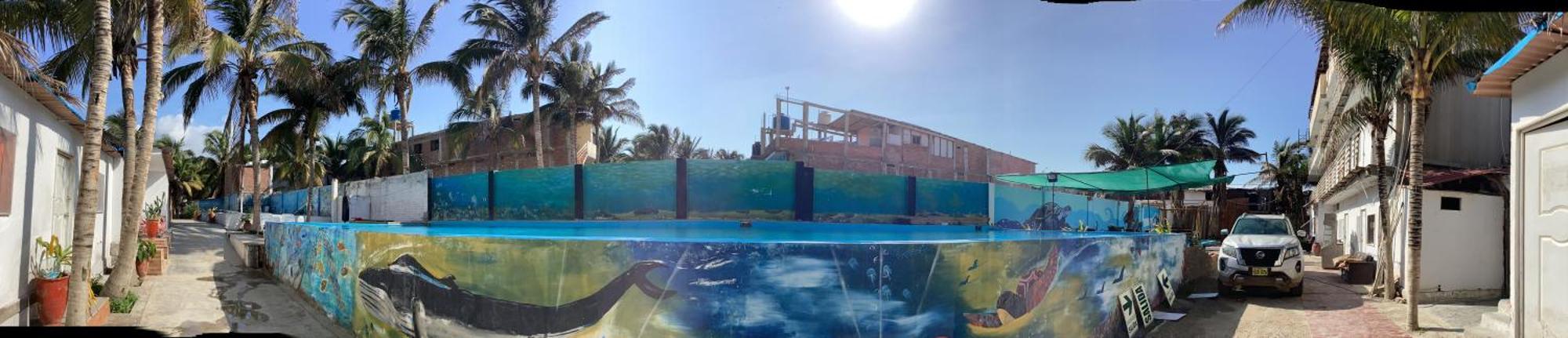 Angeles Del Mar Hotel Манкора Екстериор снимка